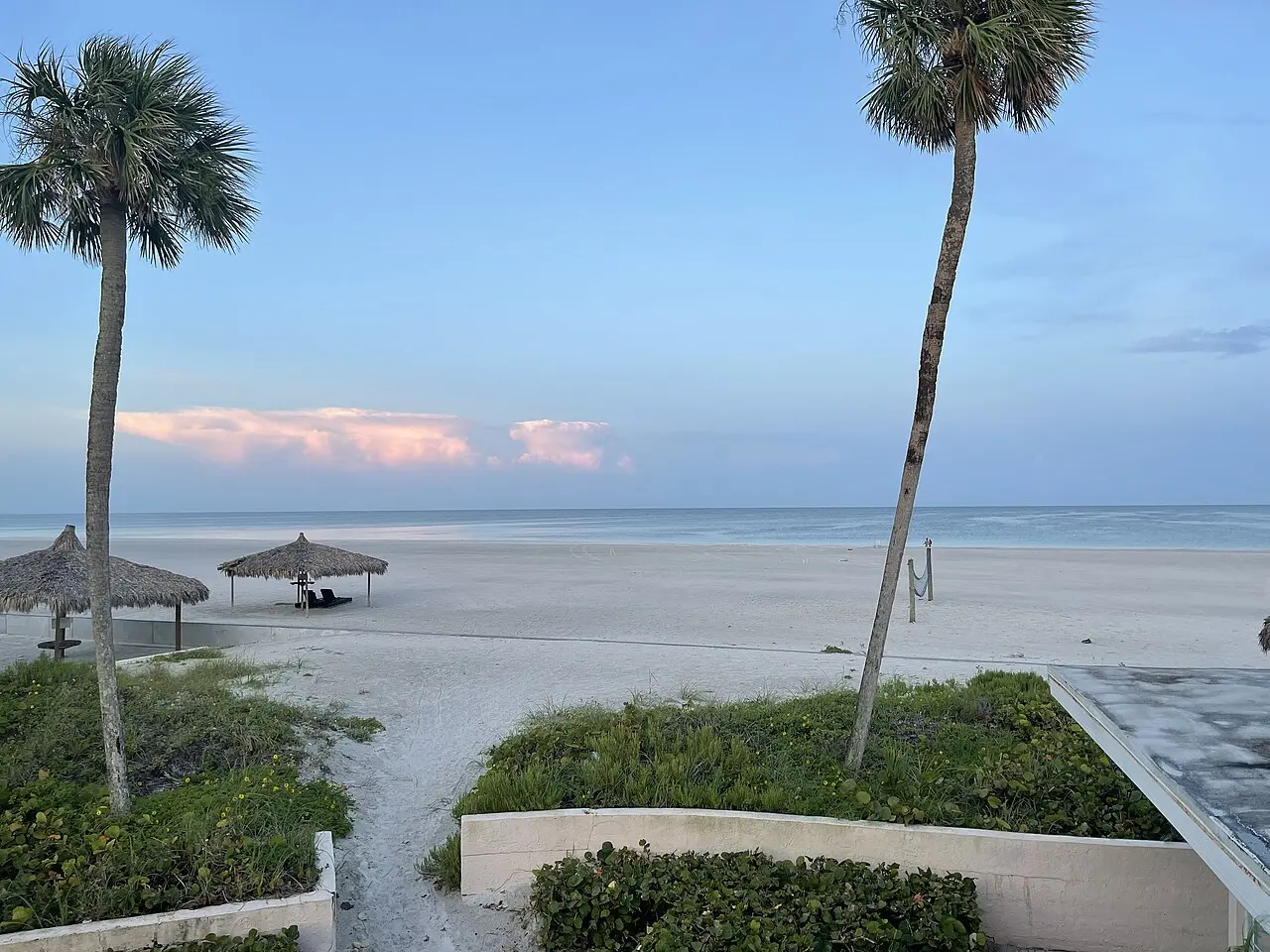Palm trees and white sand at Siesta Beach