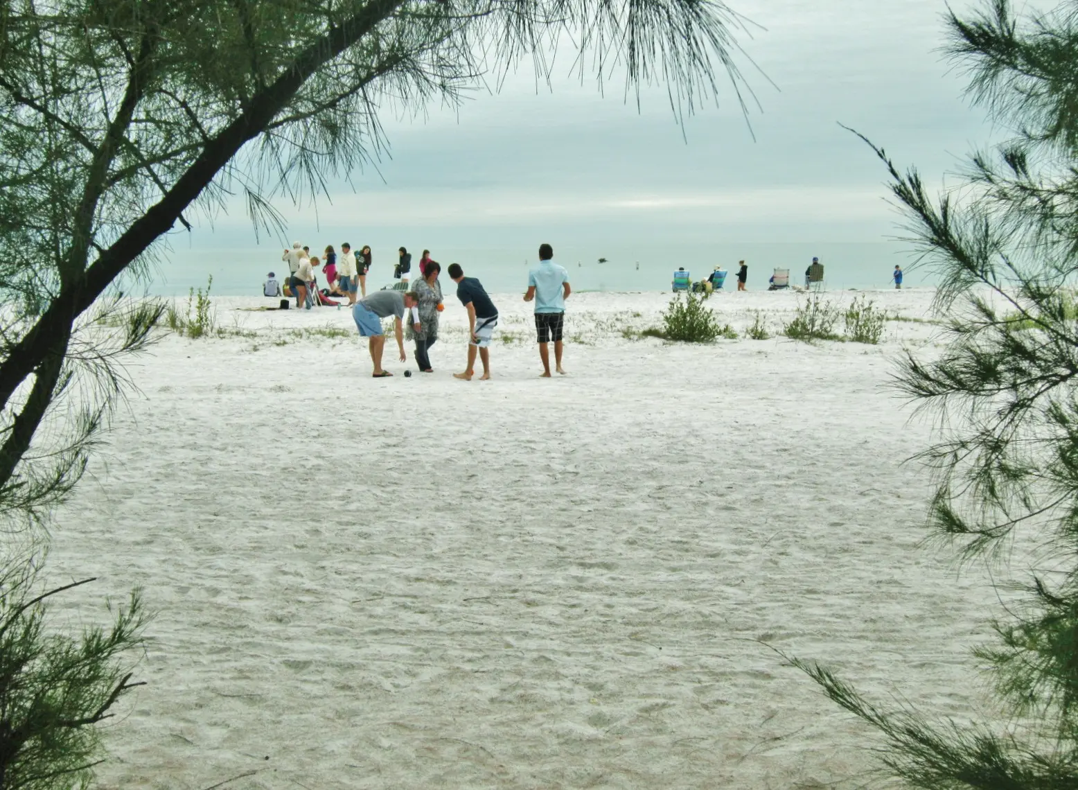 White sand beach framed by coastal trees at Fort De Soto Park in Tierra Verde