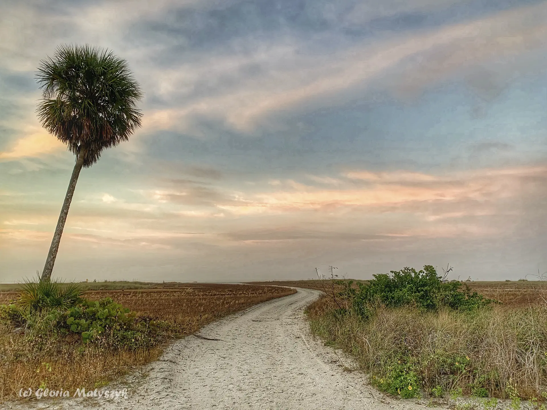 Palm tree and sandy beach access at Treasure Island at sunset