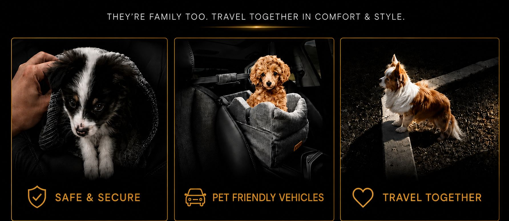 Three family dogs traveling safely and comfortably with WDT Limo by We Drive Tampa